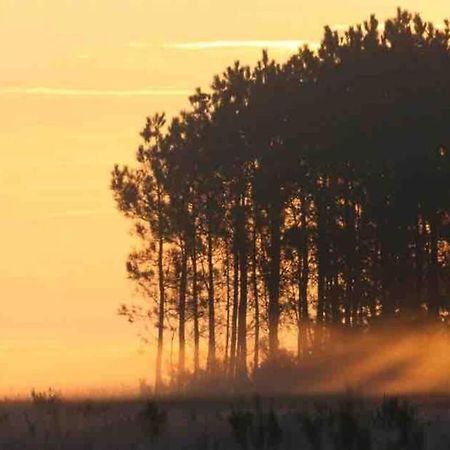 Chez Floflo Villa Rion-Des-Landes Bagian luar foto