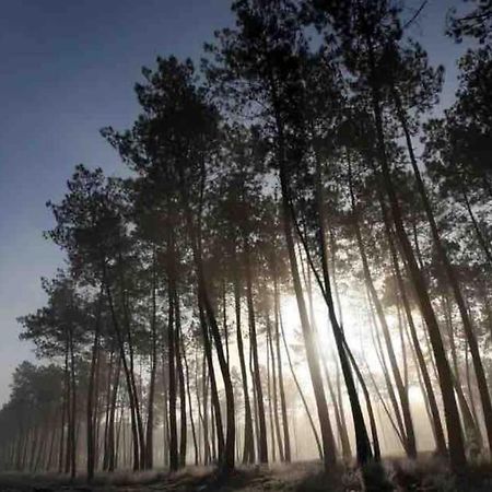Chez Floflo Villa Rion-Des-Landes Bagian luar foto