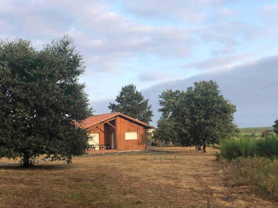 Chez Floflo Villa Rion-Des-Landes Bagian luar foto