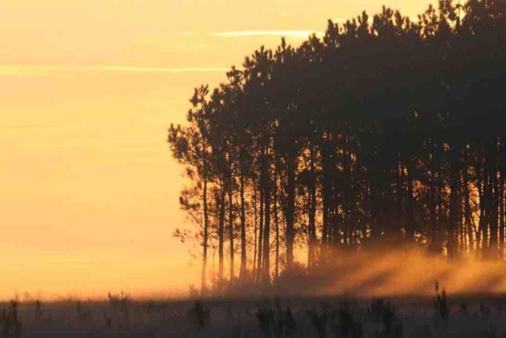 Chez Floflo Villa Rion-Des-Landes Bagian luar foto