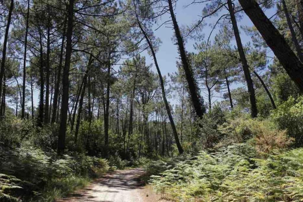 Chez Floflo Villa Rion-Des-Landes Bagian luar foto