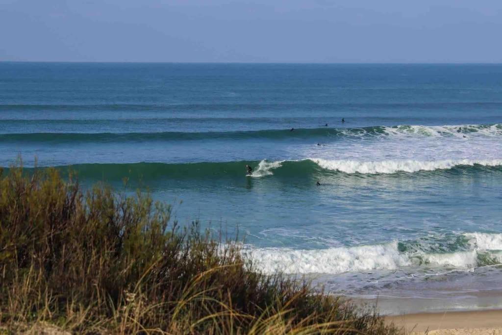 Chez Floflo Villa Rion-Des-Landes Bagian luar foto